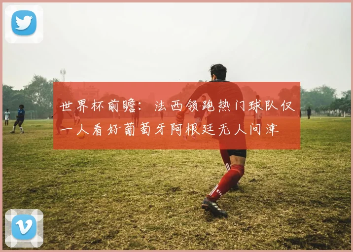 世界杯前瞻：法西领跑热门球队仅一人看好葡萄牙阿根廷无人问津