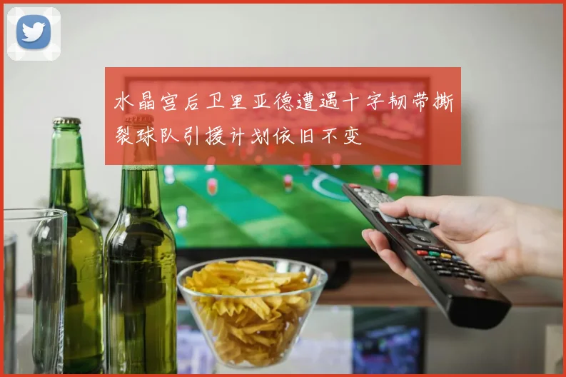 水晶宫后卫里亚德遭遇十字韧带撕裂球队引援计划依旧不变