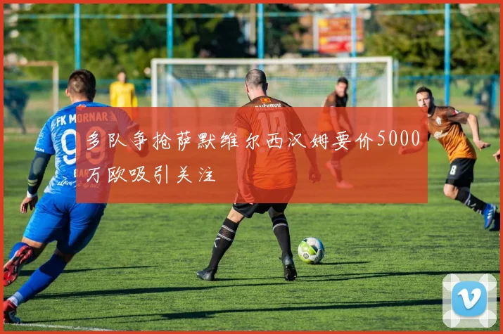 多队争抢萨默维尔西汉姆要价5000万欧吸引关注